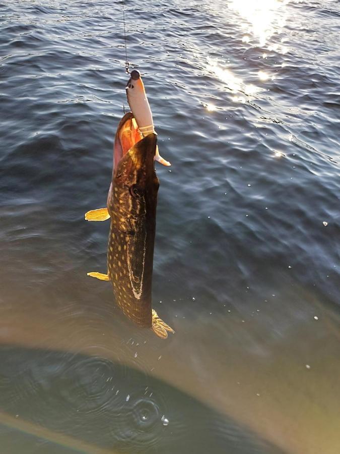 Kaszubskie Laki Lakie Exteriör bild